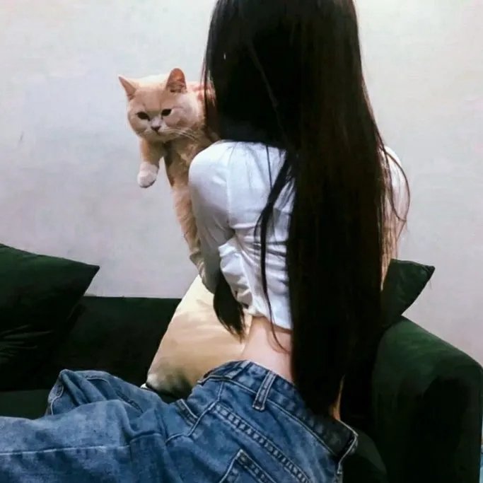 孤鸟罗宾